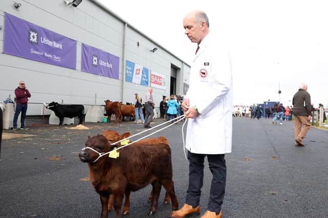 Pat McAreavey from Ballinderry with his six and five weeks old Ballinderry Dexters calves Roxy Lady and Ballinderry Rolo Picture by Jonathan Porter/PressEye