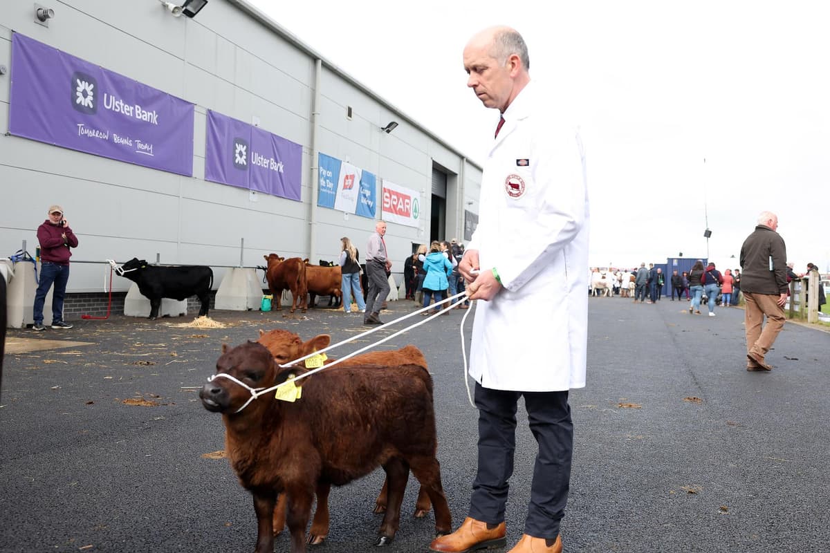 Rain doesn't dampen spirits on day one of Ulster's big farming event Balmoral Show