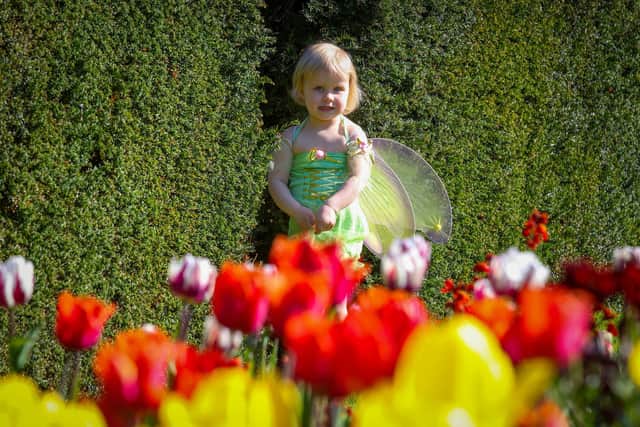 Sadie Morrow visits the Walled Garden at Glenarm Castle