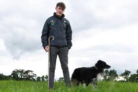 Peter Óg Morgan, 15, is competing in the World Sheepdog Trials this week in Dromore, Co Down
Photo: Kelvin Boyes / Press Eye.