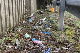 Rubbish along the A1 dual carriageway near Newry