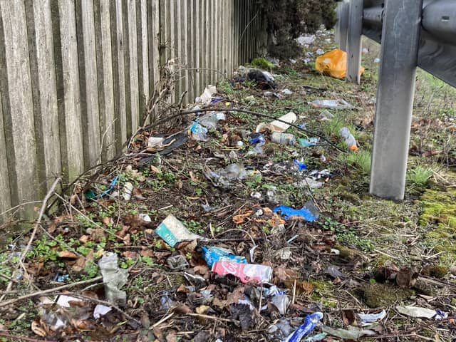 Rubbish along the A1 dual carriageway near Newry