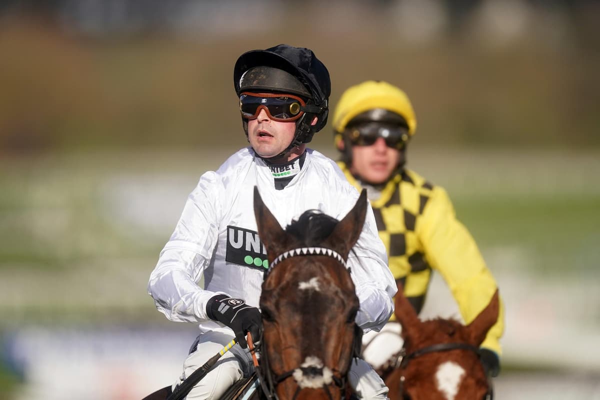 Nicky Henderson left with watery eyes after watching Constitution Hill win Champion Hurdle crown