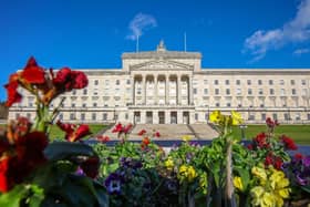The website Stormont Watch breaks down all the votes since the 2022 election, and shows that the Alliance Party votes with Sinn Fein about three-quarters of the time (photo by PAUL FAITH/AFP via Getty Images)