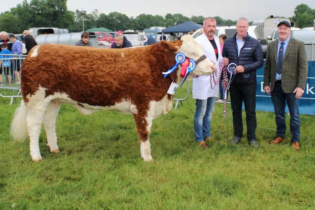 Alan Wilson (left) with the Beef Inter-Breed Champion at Ballymena Show 2023. Adding their congratulations: Seamus McCormick, Danske Bank and William Smith, who judged the class (right)