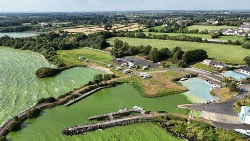 Blue-green algae at Battery Harbour on Lough Neagh near Cookstown in Co Tyrone. Andrew Muir hasurged MLAs for support as he asks the Stormont Executive to agree in principle to the establishment of an independent, environmental protection agency in Northern Ireland