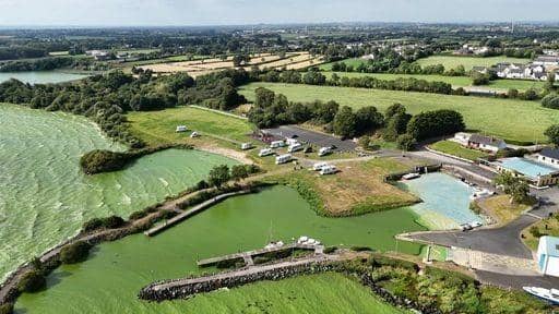 Blue-green algae at Battery Harbour on Lough Neagh near Cookstown in Co Tyrone. Andrew Muir hasurged MLAs for support as he asks the Stormont Executive to agree in principle to the establishment of an independent, environmental protection agency in Northern Ireland