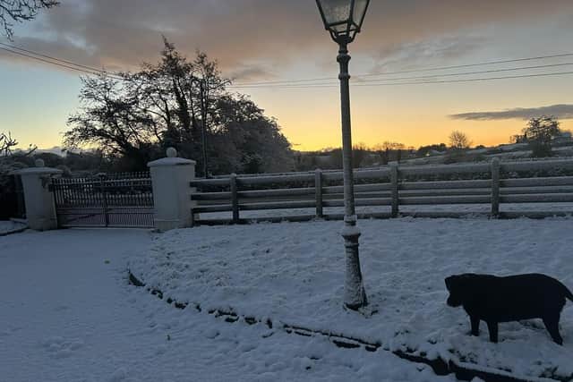 Waking up to a winter wonderland outside Ballymena