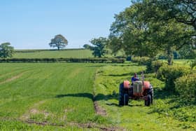 The Ulster Farmers Union says jobs could be under threat from looming changes to Northern Ireland's employment laws.