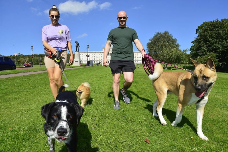 Belfast weather forecast for the coming days suggests the sun will be here for a little longer. Adam Williamson, Ciara Dunlop with Dogs Winston,  Harvey and wee Pacho from Newtownards pictured enjoying the sunshine at Stormont in Belfast Northern Ireland.
Picture By: Arthur Allison/Pacemaker Press.