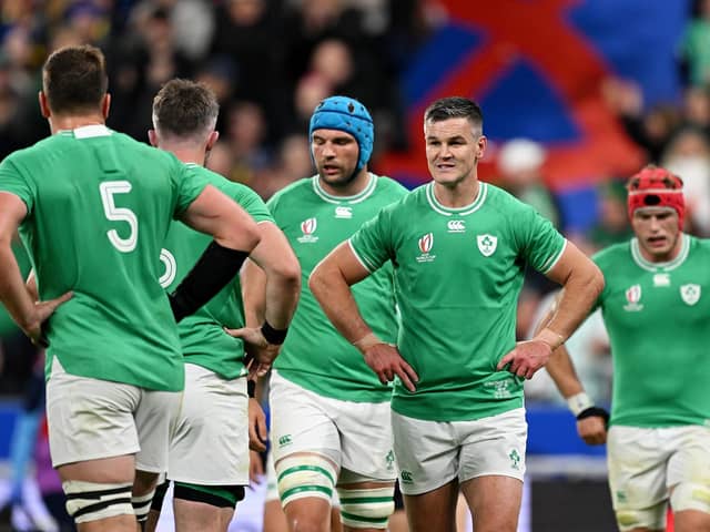 Ireland's winning run came to an end with defeat against New Zealand in their World Cup quarter-final clash at the Stade de France in Paris last October