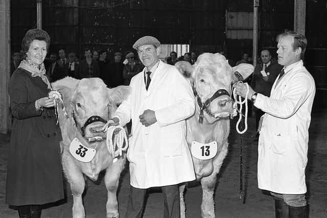 Pictured in March 1983 is Mrs Florrie Short from Omagh, presenting the Simpson brothers with the winning rosettes at a Charolais show and sale which was held at the Automart, Portadown. Picture: News Letter archives/Darryl Armitage