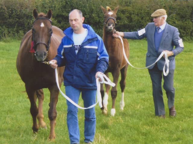 There was more success at the 2010 Mounthill Fair for Kilwaughter Beauty, who once again lifted the champion mare award. She is led by Colin Crooks while his father Houston Crooks from Kilwaughter leads Kilwaughter Blade, winner of the championship foal.  Picture: Larne Times archives