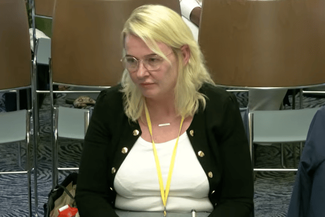 Fidelma Fearson from Minority Ethnic Support Armagh was caught on microphone making an insulting comment about MLA Timothy Gaston, moments after she stopped being questioned by a Stormont Committee. Image: Northern Ireland Assembly