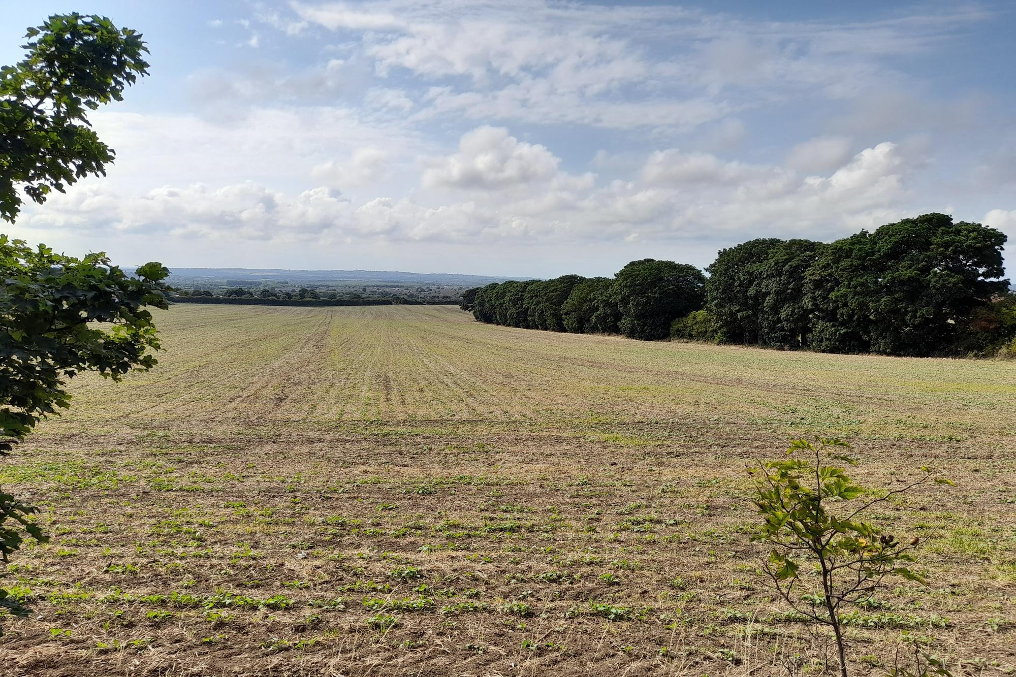 Work starts on Gentoo 'affordable' housing scheme in Penshaw at site of ...