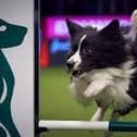 There's just nothing like Crufts - the world's most famous dog show