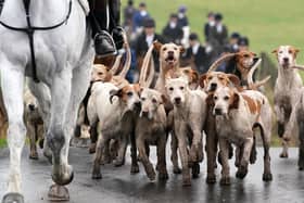 Riders and hounds take part in the Kennels Lanarkshire & Renfrewshire meet in Houston, Scotland during 2021. Labour has been warned to end its "running attack" on rural communities as tens of thousands of people are set to gather for Boxing Day hunt parades. (Photo by Andrew Milligan/PA Wire)