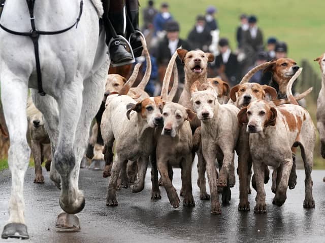 Riders and hounds take part in the Kennels Lanarkshire & Renfrewshire meet in Houston, Scotland during 2021. Labour has been warned to end its "running attack" on rural communities as tens of thousands of people are set to gather for Boxing Day hunt parades. (Photo by Andrew Milligan/PA Wire)