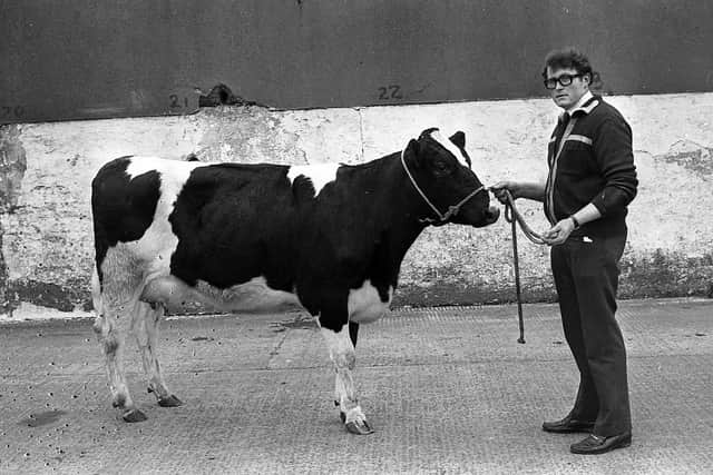Pictured in March 1983 with the champion Friesian at a show and sale held at Allams, Belfast is John Ritchie from Holywood. Picture: News Letter archives/Darryl Armitage