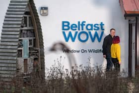 ​RSPB NI’s Belfast’s Window on Wildlife reserve is hosting two events on February 1 and 22.