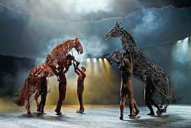 War Horse, which is coming to the Grand Opera House