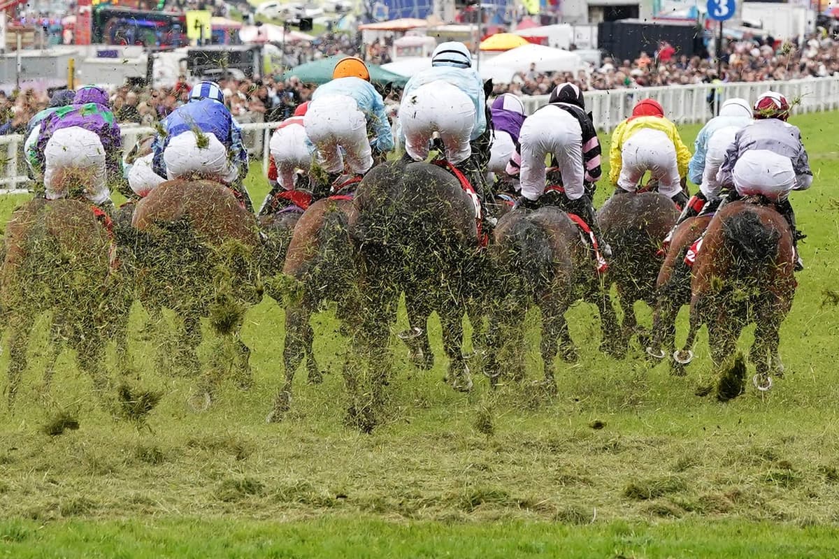 Rte Racing Horse racing bodies in Ireland and Britain express shock and concern ...