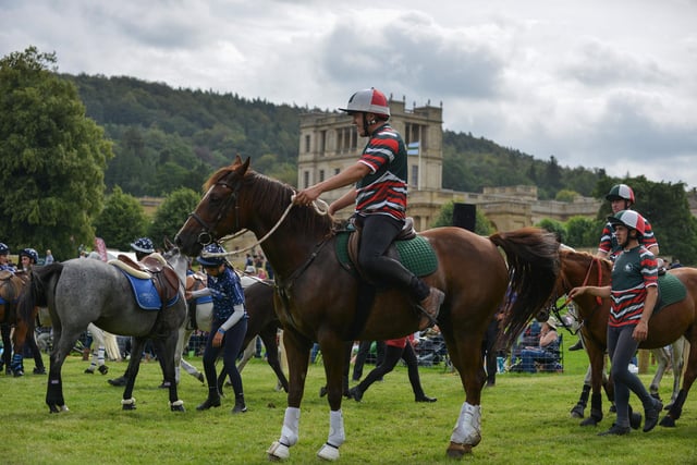 From demonstrations from celebrity chiefs to a hound parade, there is something for everyone at one of England's most spectacular annual outdoor events.