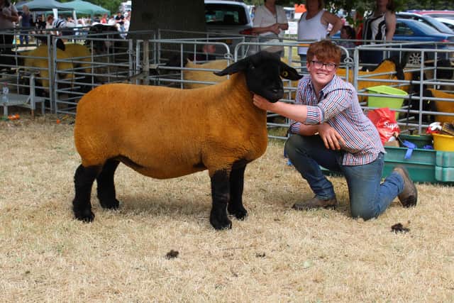 Neil Fleming showing the Aged Suffolk ewe champion at Armagh Show 2023 on behalf of Downpatrick breeder, Norman Robinson