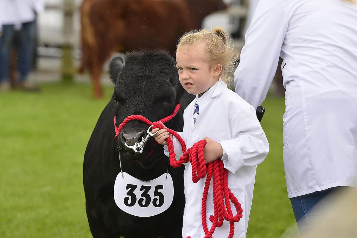 Balmoral Show 2023: Watch - Videographer Tim Gracey visits the first day of the big show at Balmoral Park