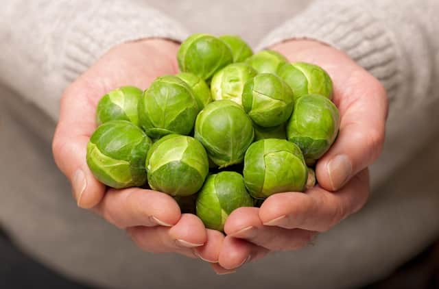 Everything you need to know about growing Brussels sprouts