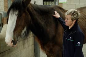 Since the start of the year, the charity has seen a 43% increase in welfare enquiries, many of which have necessitated visits from Field Officers, and its four Rescue and Rehoming Centres are nearing capacity. Picture: Submitted