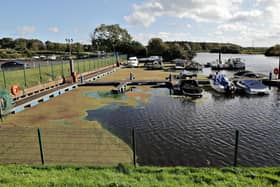 The view over the moorings covered with blue green algae at Drumaheglis Marina to the south of Coleraine