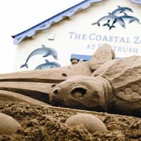 Record-breaking year for Portrush seaside attraction: Success shows 'growing appetite for learning about our marine environment', says minister