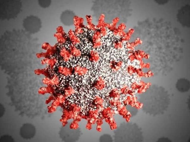 A new report on the work of the Northern Ireland-based global diagnostics company Randox shows its Covid-19 PCR testing averted more than 3,000 UK deaths and 14,100 additional hospitalisations during the pandemic emergency. Pictured is the Coronavirus which killed millions of people throughout the world