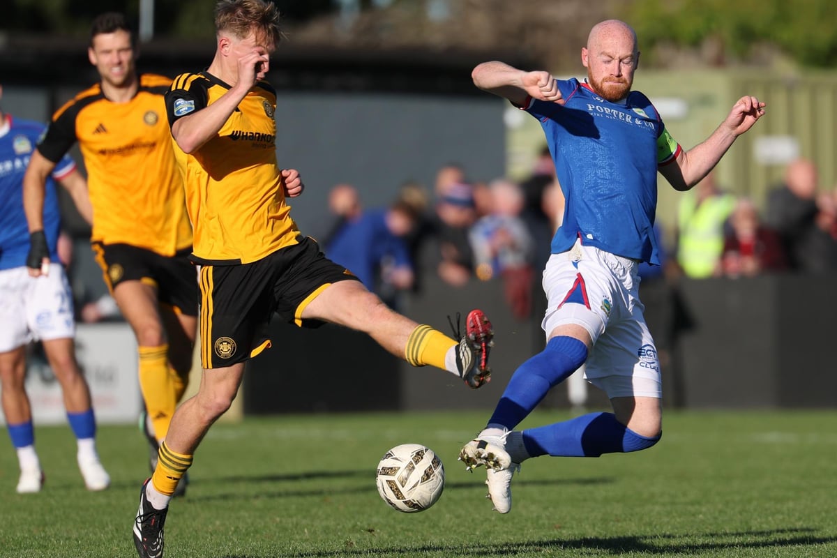 THE VERDICT: All you need to know about Carrick Rangers 2 Linfield 2 - Dazzling Heatley as Blues twice lose lead