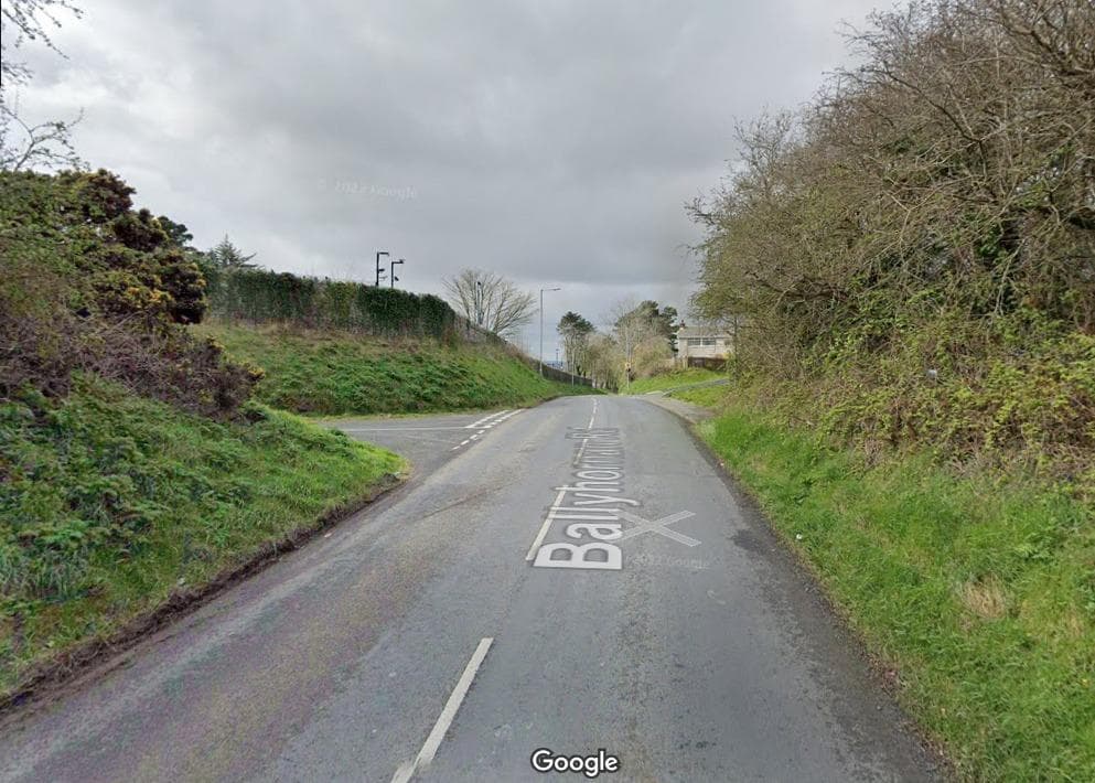 A man who died following a single-vehicle road traffic collision in Co Down has been named