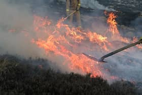 The blaze was on grassland near Belfast harbour (this image shows firefighters tackling a blaze on Slieve Donard  in 2021 (Photo by Charles McQuillan/Getty Images)