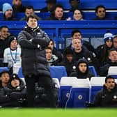Mauricio Pochettino reacts during the Premier League match between Chelsea FC and Everton FC at Stamford Bridge