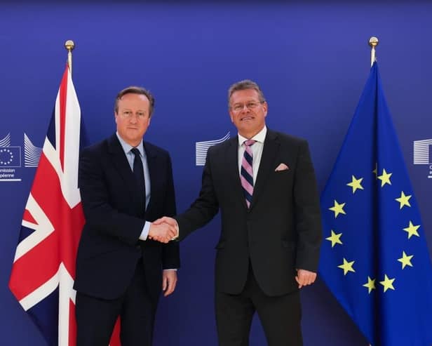 UK Foreign Secretary Lord Cameron and the EU Vice President Maroš Šefčovič met on Wednesday, where they discussed "implementation" of the Windsor Framework. Photo: European Commission.