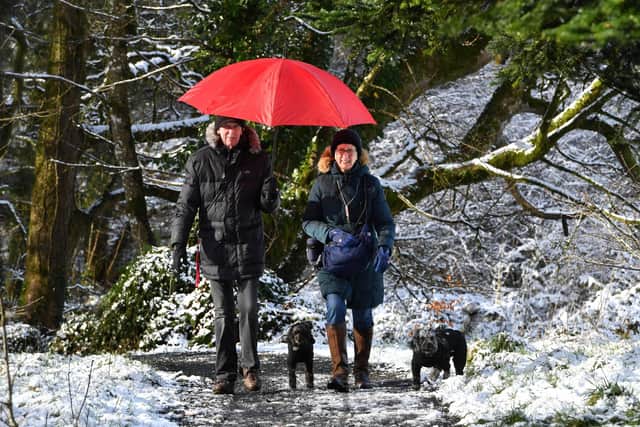 A covering of snow in Enniskillen this year. Allan and Wendy Bell from Enniskillen with their dogs Mollie and Tipsy out for a walk in Castle Coole. 

Picture by Andrew Paton/PressEye