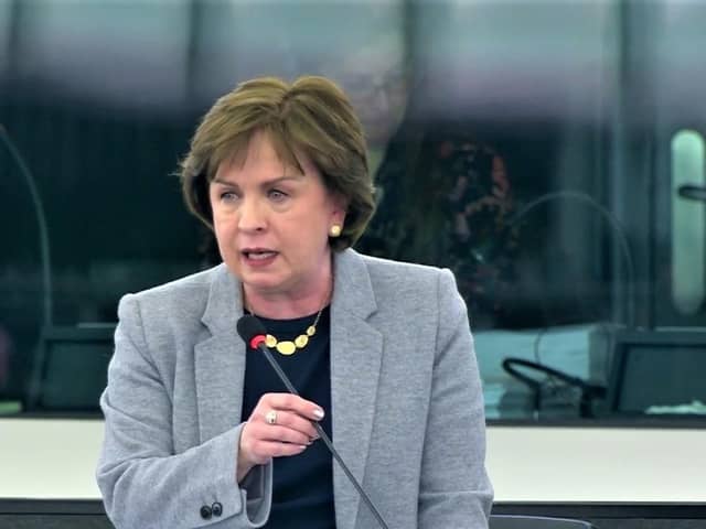 Diane Dodds in the European Parliament