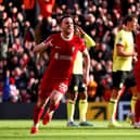 Liverpool's Diogo Jota celebrates is in line to return to action after recovering from injury
