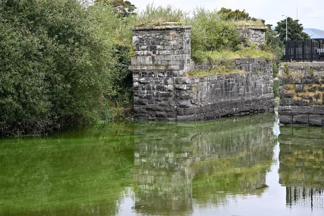 Lough Neagh has been hit by record levels of potentially toxic blue-green algae