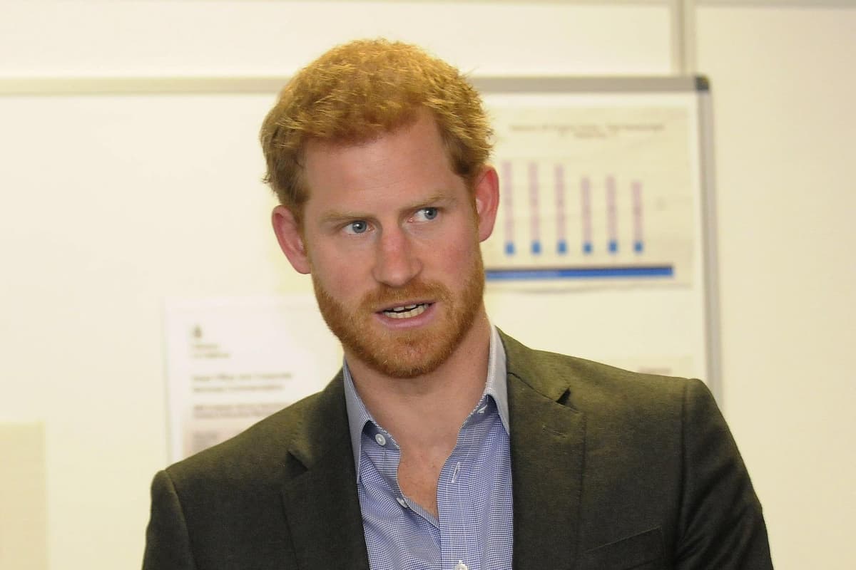Prince Harry s Book Spare Retired Col Philip Ingram Says Royal s prince-harry-s-book-spare-retired-col-philip-ingram-says-royal-s