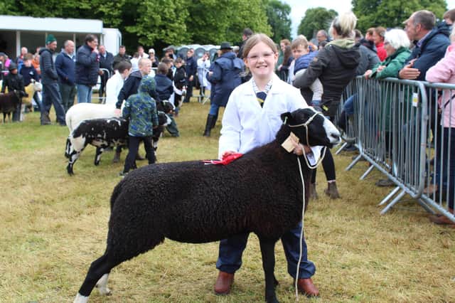 Arianna Bell, from Comber, won the sheep young handlers' class at Castlewellan Show 2023