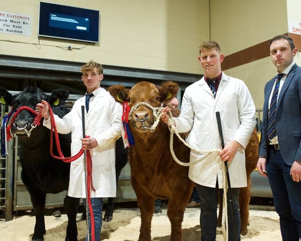 Reserve and supreme champions with judge Andrew Clarke. Picture: Submitted