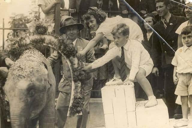 Eight year old Sheila Hughes holds a garland during a 'christening' ceremony for a baby elephant, also called Sheila. The elephant is the same one that was looked after by Denise Westin Austin in her back garden during the Second World War. CT17-717