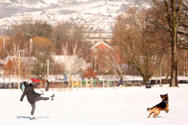 People enjoy the snow in Orangefield Park in east Belfast. Picture by Jonathan Porter/PressEye