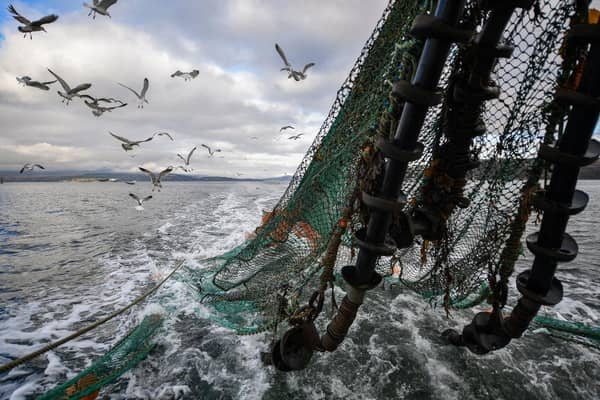 Seagulls follow the 'Guide Me' prawn trawler in Greenock, Scotland