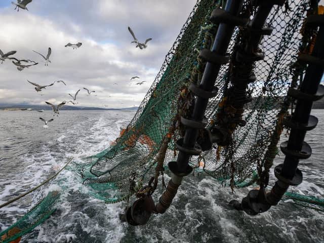 Seagulls follow the 'Guide Me' prawn trawler in Greenock, Scotland